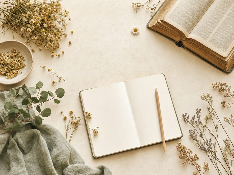 Free Online Bible Study Lessons & Databases